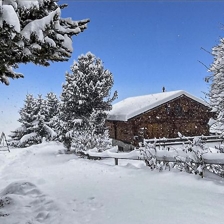 Chalet Albarose - Vercorin Dış mekan fotoğraf