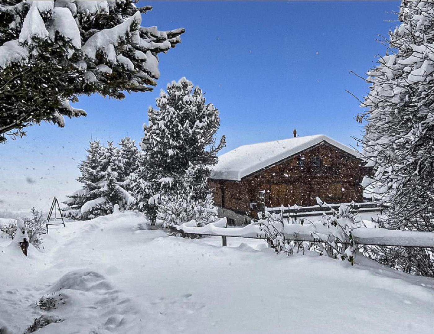 Chalet Albarose - Vercorin Dış mekan fotoğraf